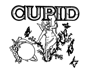 CUPID logo