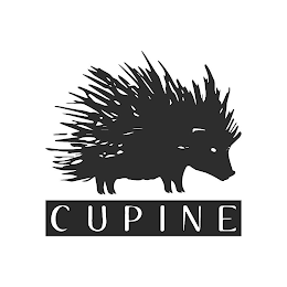CUPINE logo
