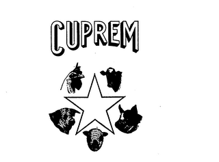 CUPREM logo