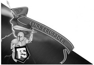 CURB CRUSADER TES logo