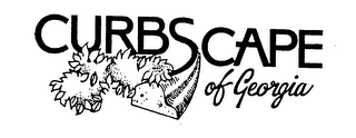CURBSCAPE OF GEORGIA logo