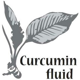 CURCUMIN FLUID logo
