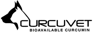 CURCUVET BIOAVAILABLE CURCUMIN logo