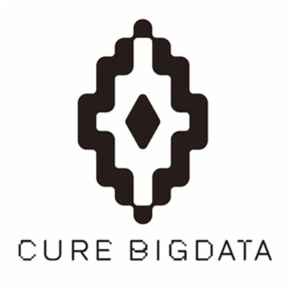 CURE BIGDATA