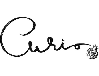 CURIO logo