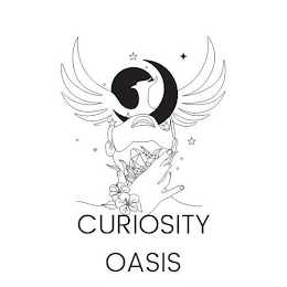 CURIOSITY OASIS logo