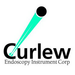 CURLEW ENDOSCOPY INSTRUMENT CORP logo