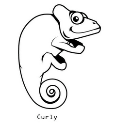 CURLY logo