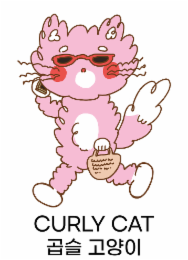 CURLY CAT