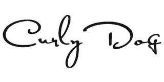 CURLY DOG logo