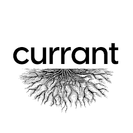 CURRANT logo