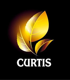 CURTIS logo