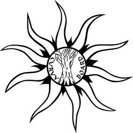 CURVY BOARD logo