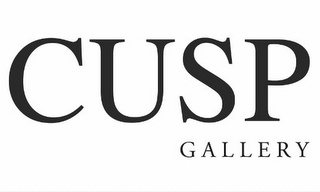 CUSP GALLERY logo