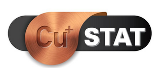 CU+STAT logo