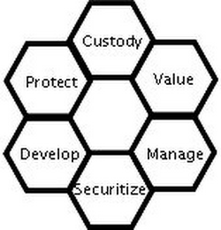 CUSTODY VALUE MANAGE SECURITIZE DEVELOP PROTECT logo