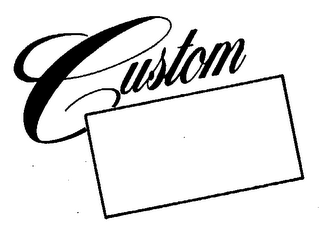 CUSTOM logo