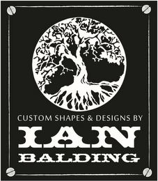 CUSTOM SHAPES & DESIGNS BY IAN BALDING logo