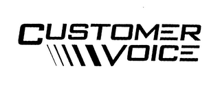 CUSTOMER VOICE logo