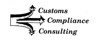 CUSTOMS COMPLIANCE CONSULTING logo