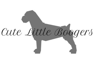 CUTE LITTLE BOOGERS logo