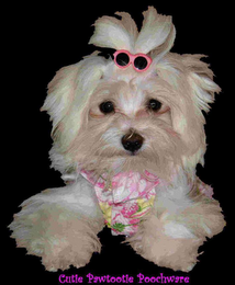 CUTIE PAWTOOTIE POOCHWARE logo