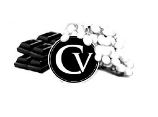 CV logo