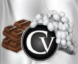 CV logo