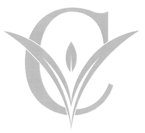 CV logo