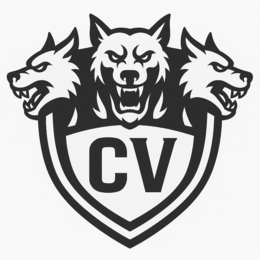 CV
