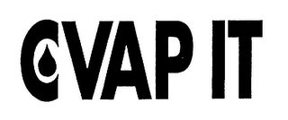 CVAP IT logo