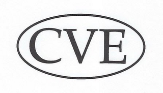 CVE logo