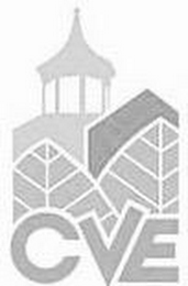 CVE logo