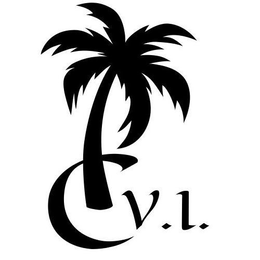 C.V.I logo