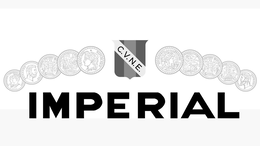 C.V.N.E. IMPERIAL FRANCAISE REPUBLIQUE PARIS EXPOSITION UNIVERSELLE INTE EXPOSITION INTERNATIONAL BRUX REINANDO SO XII EXPOSICION UNIVERSAL D LONA 1888 REPUBLIQUE FRANCAISE UNIVERSELLE INTERNATIONALE INTERNATIONAL BRUXELLES 1897 SITION UNIVERSELLE NAPO NAPOLEON II logo