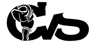 CVS logo
