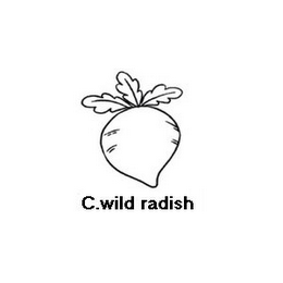 C.WILD RADISH logo