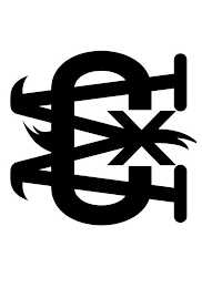 CWX logo