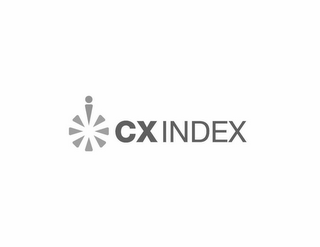 CX INDEX logo