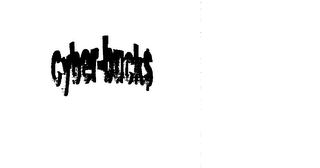 CYBER-BUCK logo