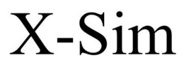CYBER X-SIM SECURITY logo