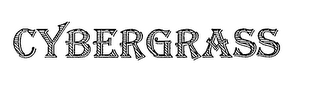 CYBERGRASS logo