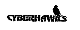 CYBERHAWK'S logo
