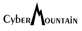 CYBERMOUNTAIN logo