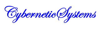 CYBERNETIC SYSTEMS logo