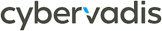 CYBERVADIS logo