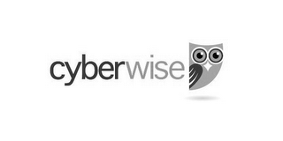 CYBERWISE logo