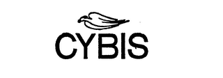CYBIS logo