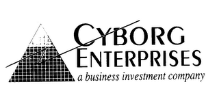 CYBORG ENTERPRISES A BUSINESS INVESTMENT COMPANY logo