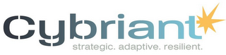 CYBRIANT STRATEGIC. ADAPTIVE. RESILIENT. logo